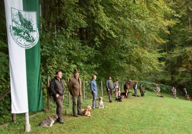 Hundepräsentation 2020